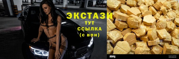 крисы Ельня