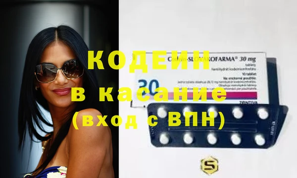 крисы Ельня
