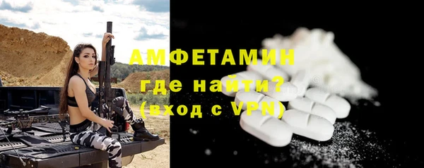крисы Ельня