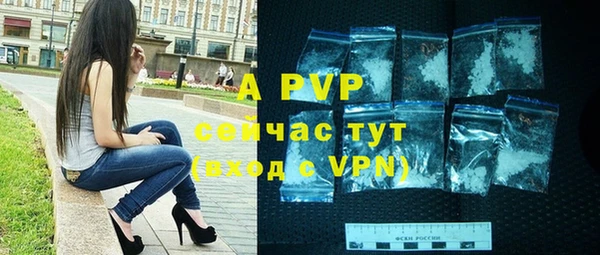 крисы Ельня