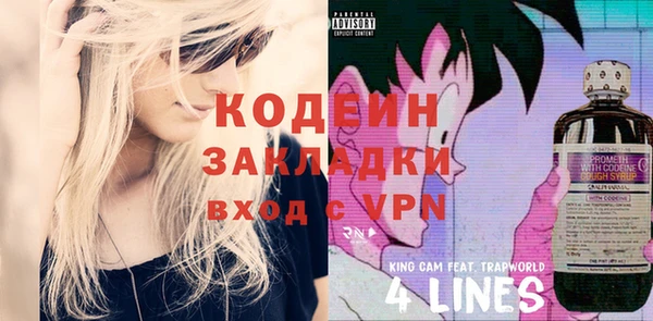 крисы Ельня