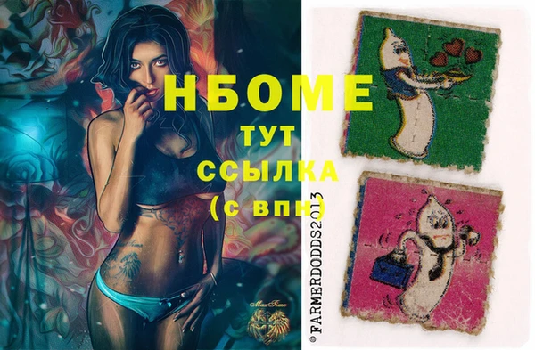 крисы Ельня