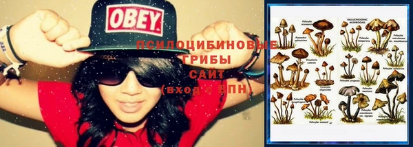 крисы Ельня